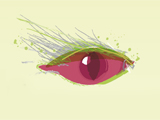 Dar&szlig;er Filmfestival - Logo