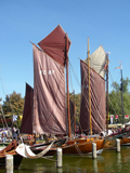 Zeesenboote im Hafen auf dem Darß