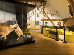 Museum Alte Oberförsterei 