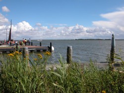 Borner Hafenfest